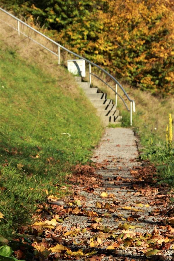 Letniskowa 10 Villa Czernichow  Bagian luar foto
