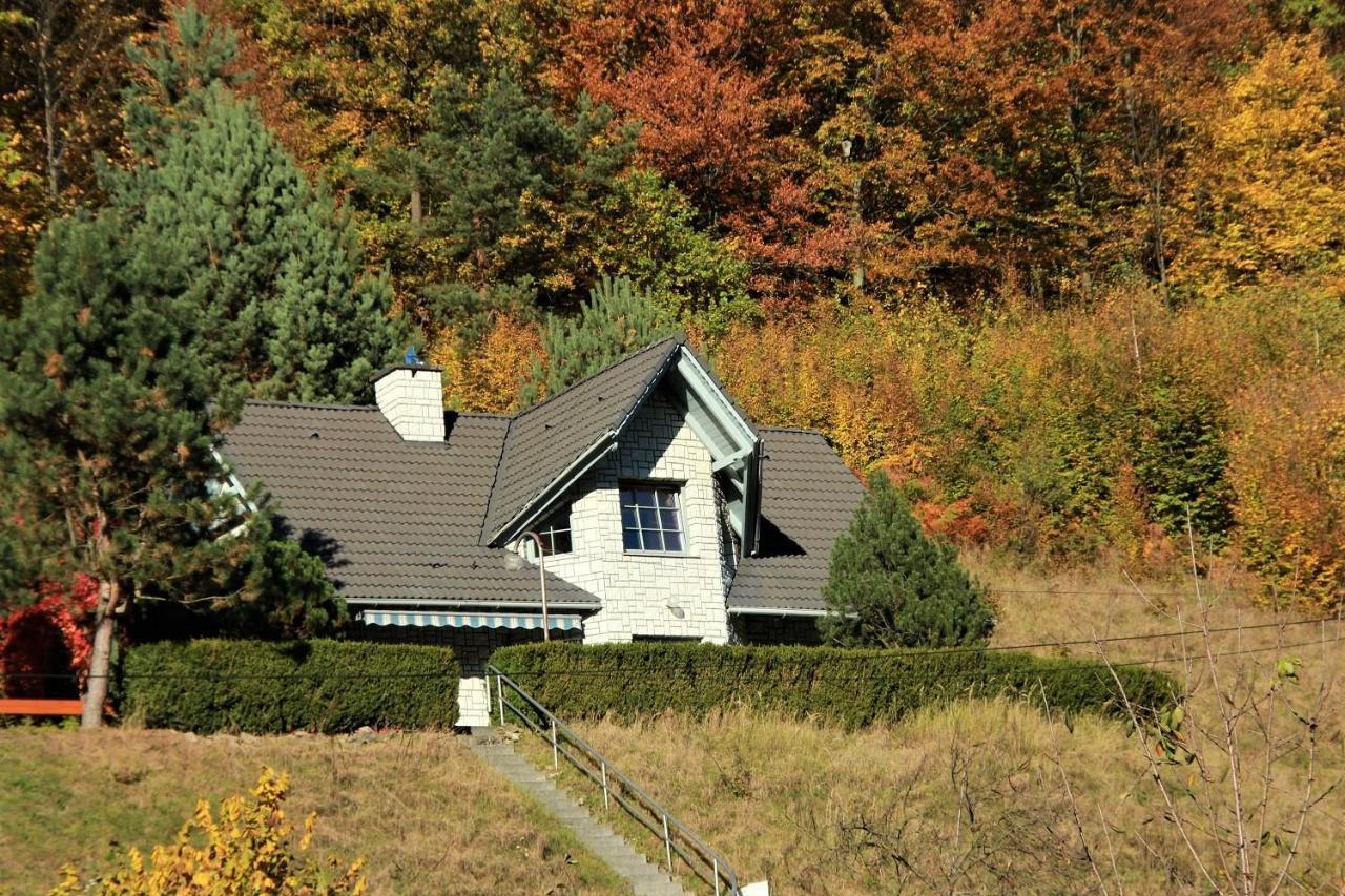 Letniskowa 10 Villa Czernichow  Bagian luar foto