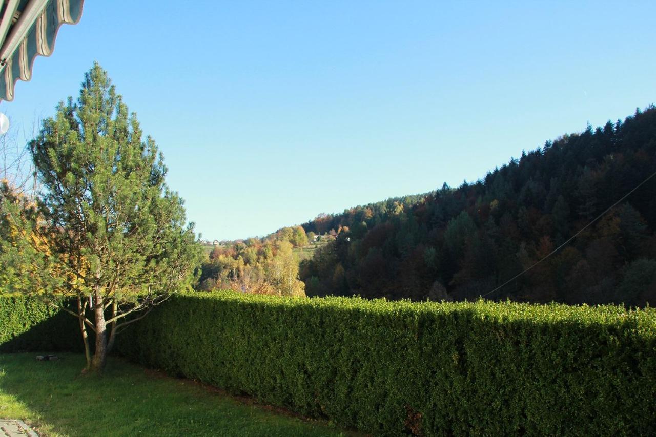 Letniskowa 10 Villa Czernichow  Bagian luar foto
