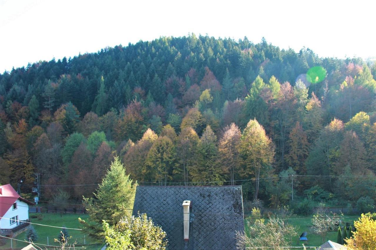 Letniskowa 10 Villa Czernichow  Bagian luar foto
